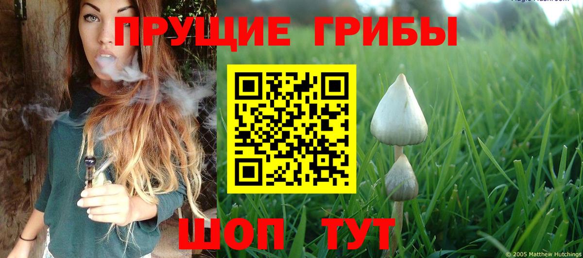 Галлюциногенные грибы ЛСД  Вход с VPN  Каменка 